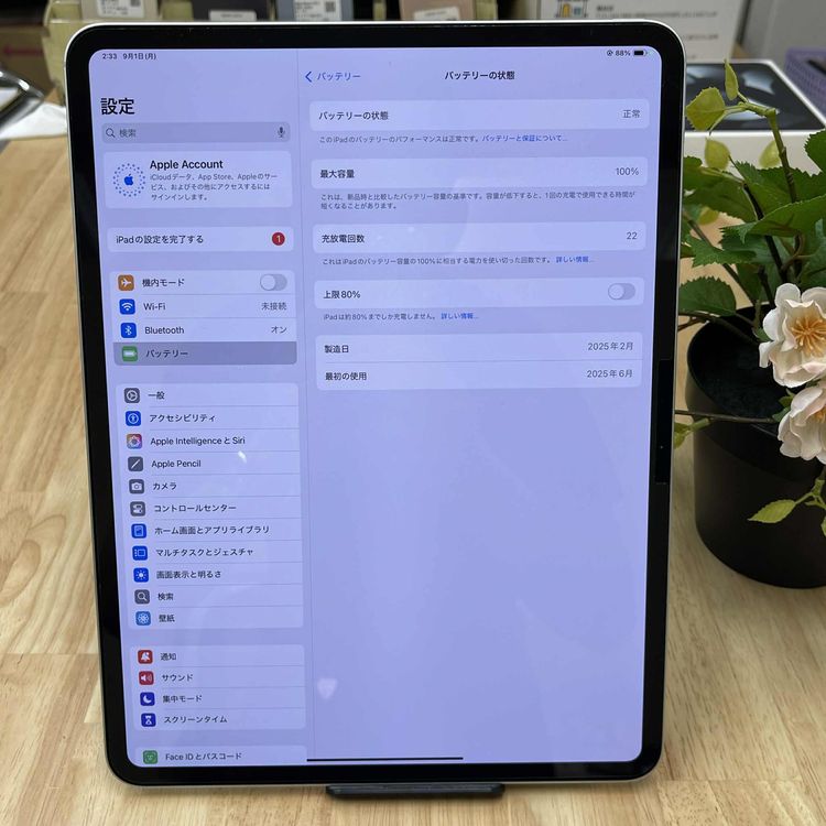 Ʊ iPad Pro M4å 13 С WiFi ǥ̵