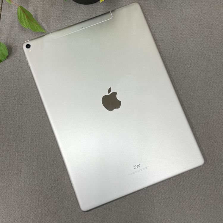 iPad Pro 12.9���������2�����256GB Wi-Fi + Cellular��ǥ�