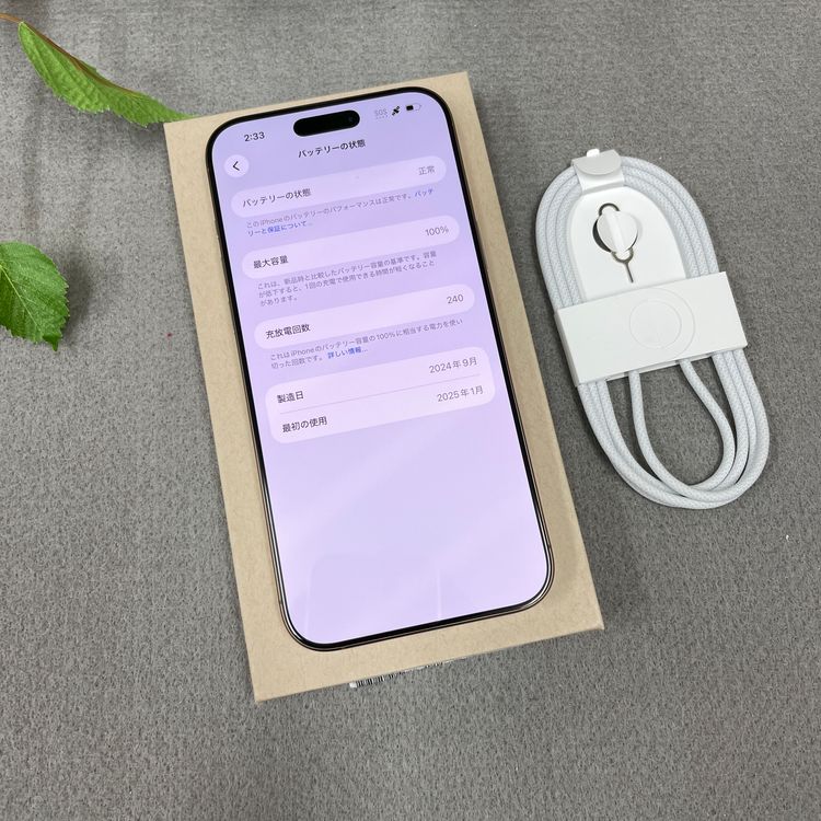 ����Ʊ�� iPhone 16ProMax 256GB �ǥ����� ������ SIM�ե꡼����̵��