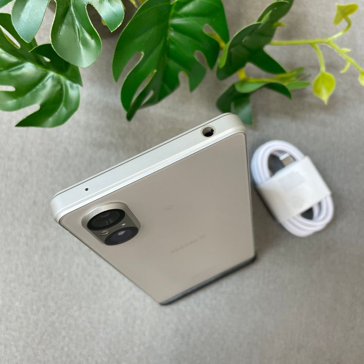 Xperia 5 V SO-53D 128GB �ץ���ʥ���С� �ɥ����� SIM�ե꡼ ����̵��
