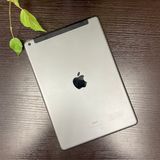 iPad 7 128GB Wifi + Cellular SIMե꡼̵