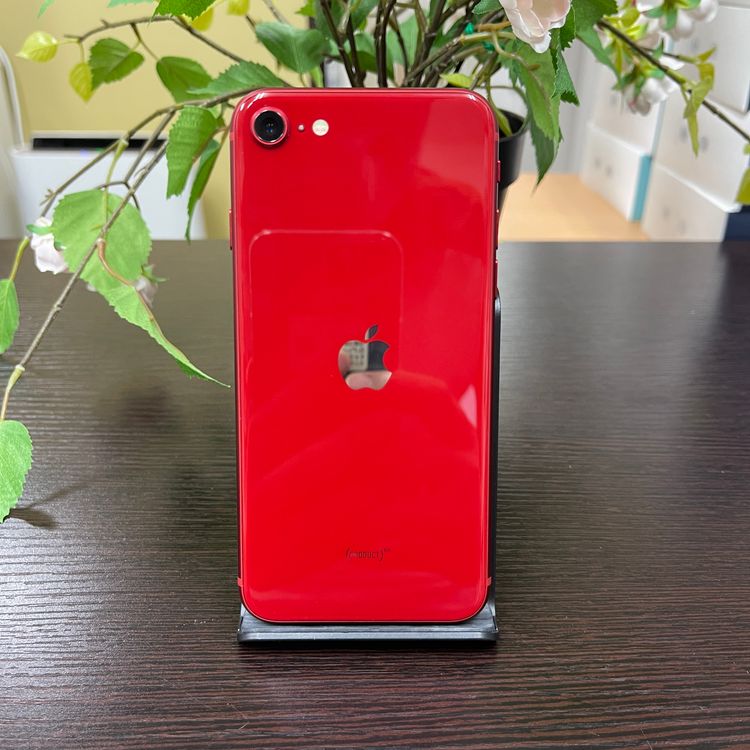iPhone SE(裳) 64GB å  SIMե꡼ ̵