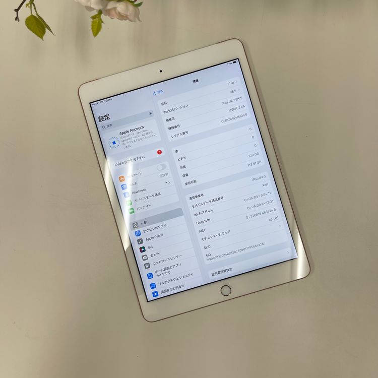 iPad 7 128GB Wifi + Cellular SIMե꡼̵