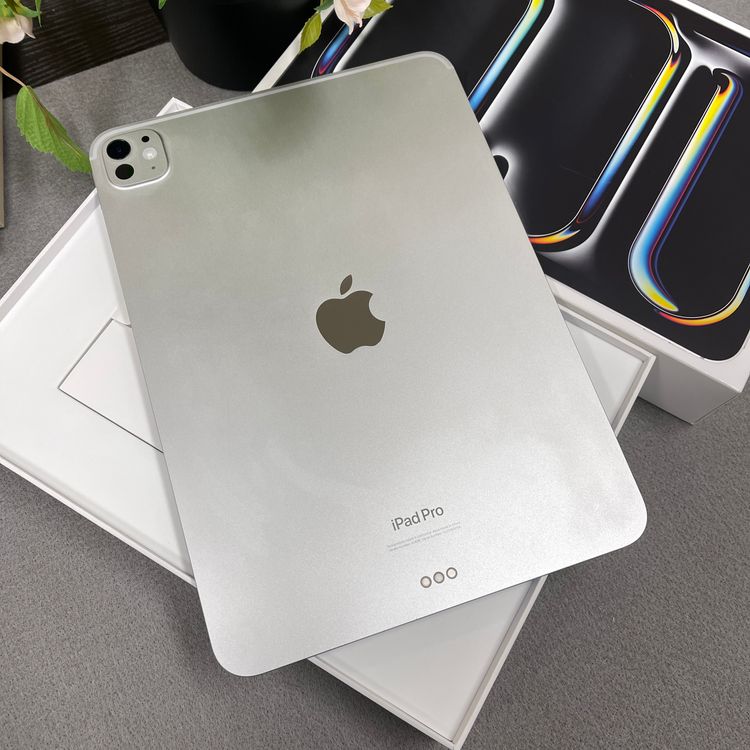 iPad Pro 11����� M4���å� 256GB ����С� WiFi�ǥ�ǥ� ����̵��