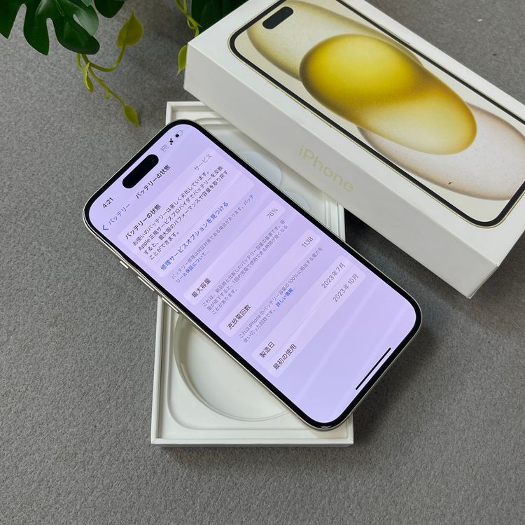 iPhone 15 256GB �������� ������ SIM�ե꡼����̵��