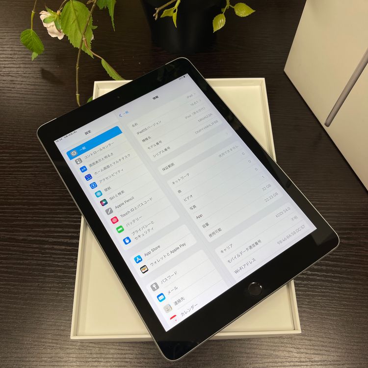 iPad(6) ڡ쥤32GB Wi-Fi + Cellularǥ