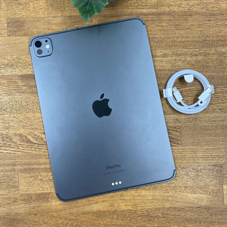 11�����iPad Pro��M4��256GB  Wi-Fi + Cellular��ǥ�