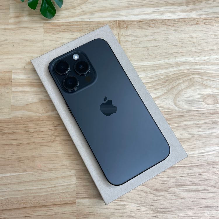 �Хåƥ�� 100% iPhone 15Pro 256GB �֥�å� ������ SIM�ե꡼����̵��