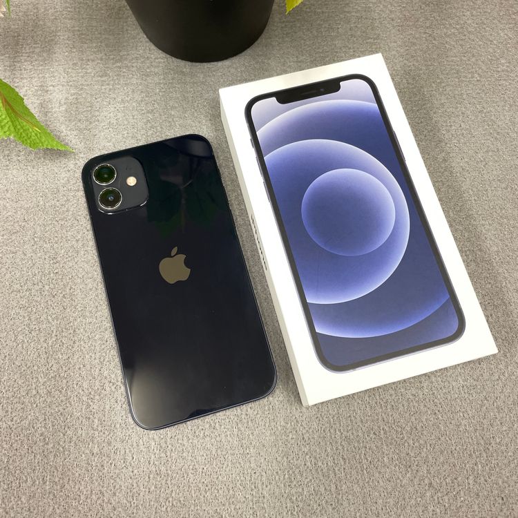 iPhone 12  ֥å 64GB SIMե꡼ ̵