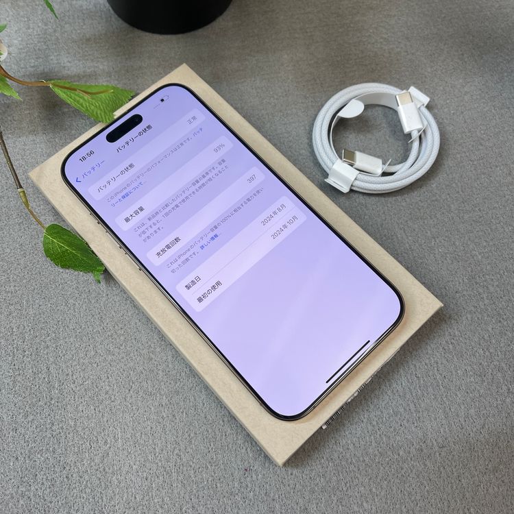 �Хåƥ꡼ 93% iPhone 16ProMax 256GB �ǥ����� ������ SIM�ե꡼