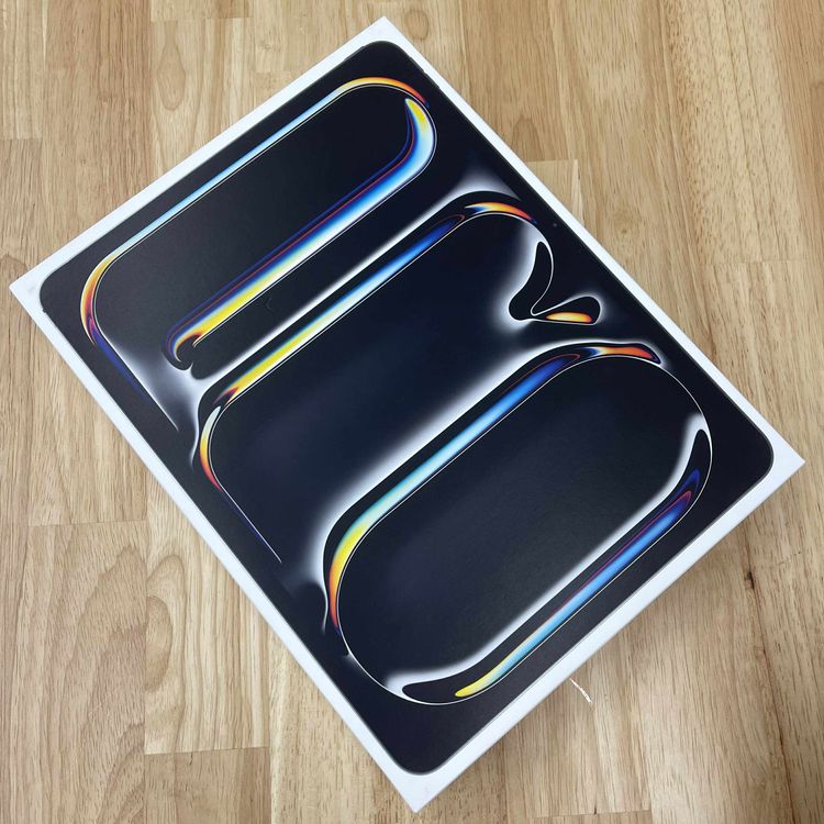 ʡ̤ iPad Pro M4 13 ڡ֥å WiFi ǥ̵