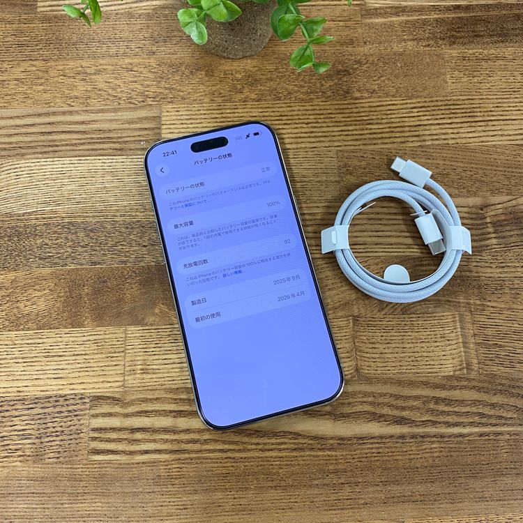 �Хåƥ꡼100% iPhone Air 256GB �ۥ磻�� ������SIM�ե꡼ ����̵��