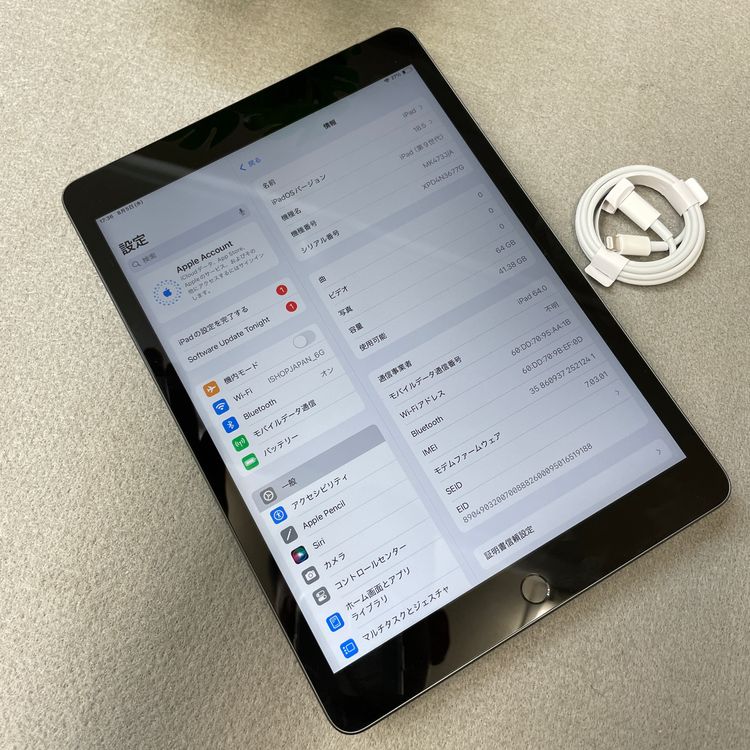 �Хåƥ꡼ 95% iPad �裹���� 64GB ���ڡ������졼������ SIM�ե꡼