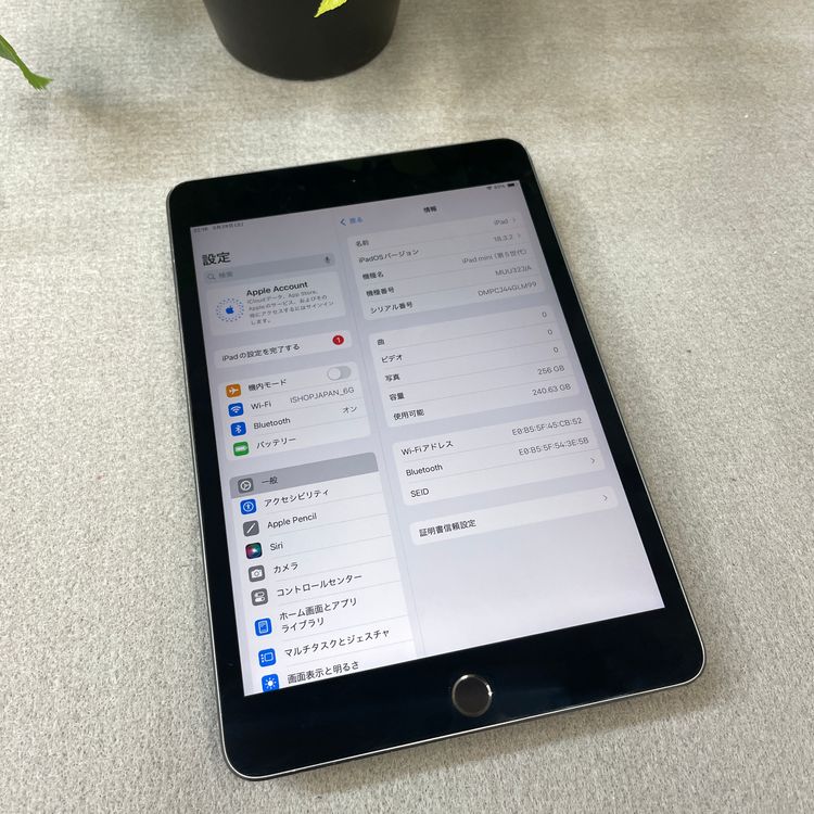 iPad mini 5 ���ڡ������쥤 256Gb Wi-Fi��ǥ� ����̵�� GLM99