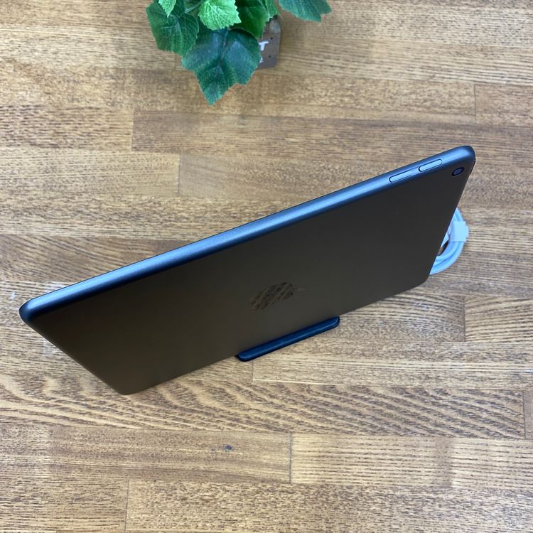 iPad mini 5 ���ڡ������쥤 64Gb Wi-Fi��ǥ� ����̵��