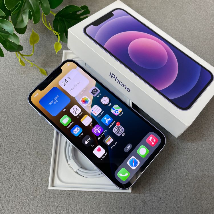 iPhone12 128GB �ѡ��ץ� ����SIM�ե꡼ ����̵��