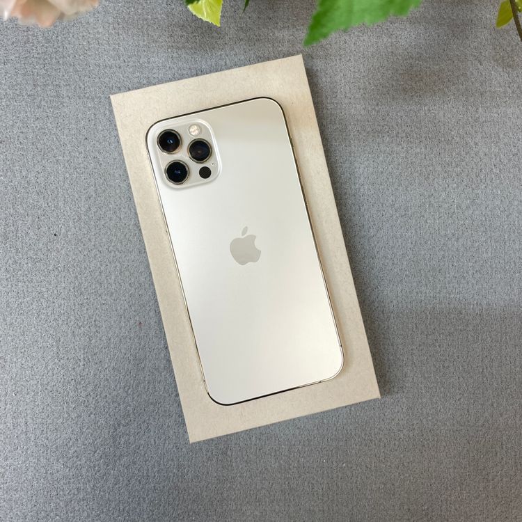 iPhone 12Pro 256GB ������� ����SIM�ե꡼ ����̵��