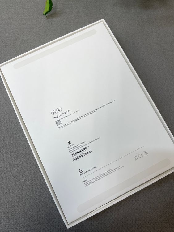 ����Ʊ�� iPad A16 256Gb �֥롼 WiFi�� ����̵��