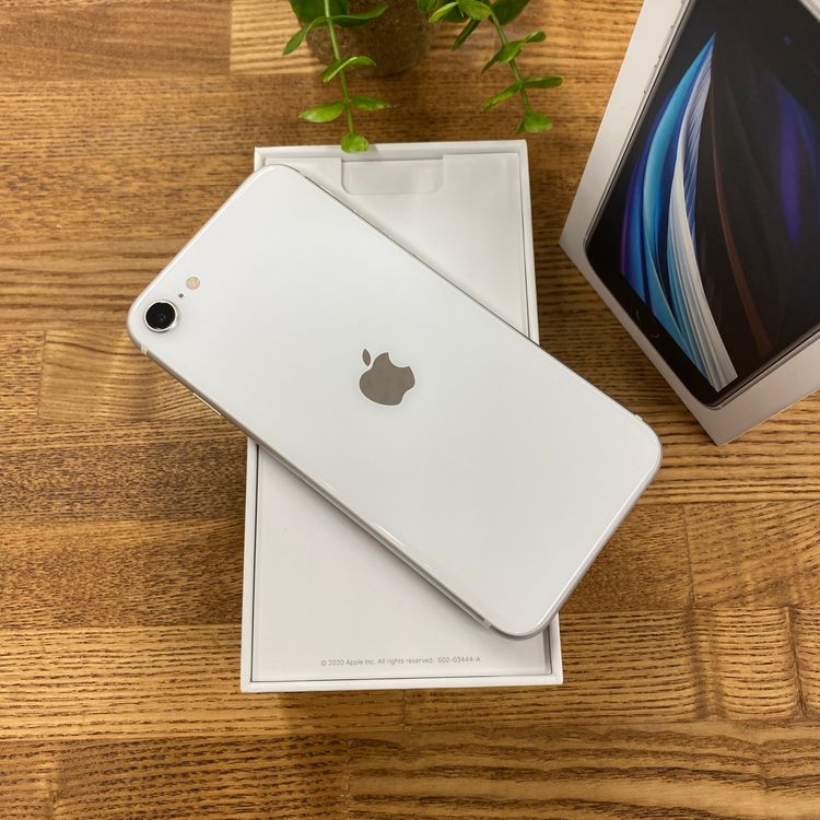 iPhone SE(��2 ����) 128GB �ۥ磻�� ����SIM�ե꡼ ����̵��