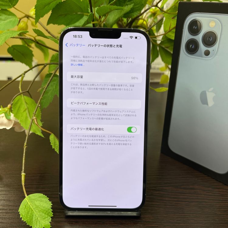 iPhone 13ProMax 256GB ֥롼SIMե꡼ ̵