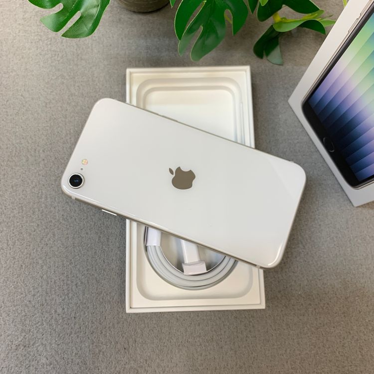 �Хåƥ꡼ 84% iPhone SE3 128GB �������饤�� ������ SIM�ե꡼ ����̵��