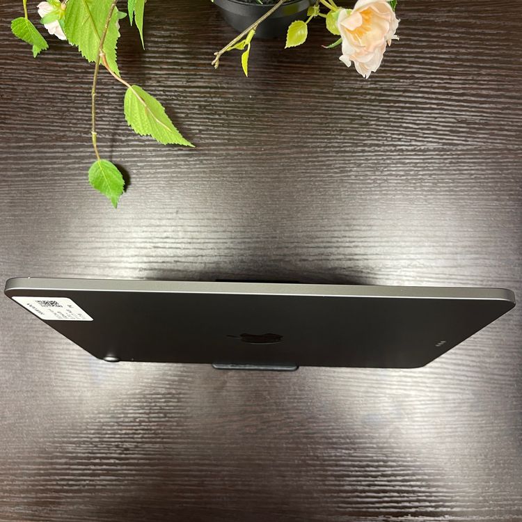 iPad Air(4) 64GB ڡ쥤 Wi-Fiǥ