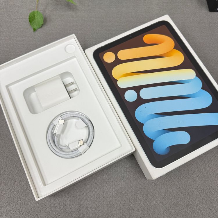 Ʊ iPad Mini A17Pro 128GB ֥å WiFi ǥ ̵