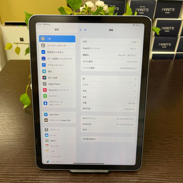 iPad Air(4) 256GB ֥롼 Wi-Fiǥ