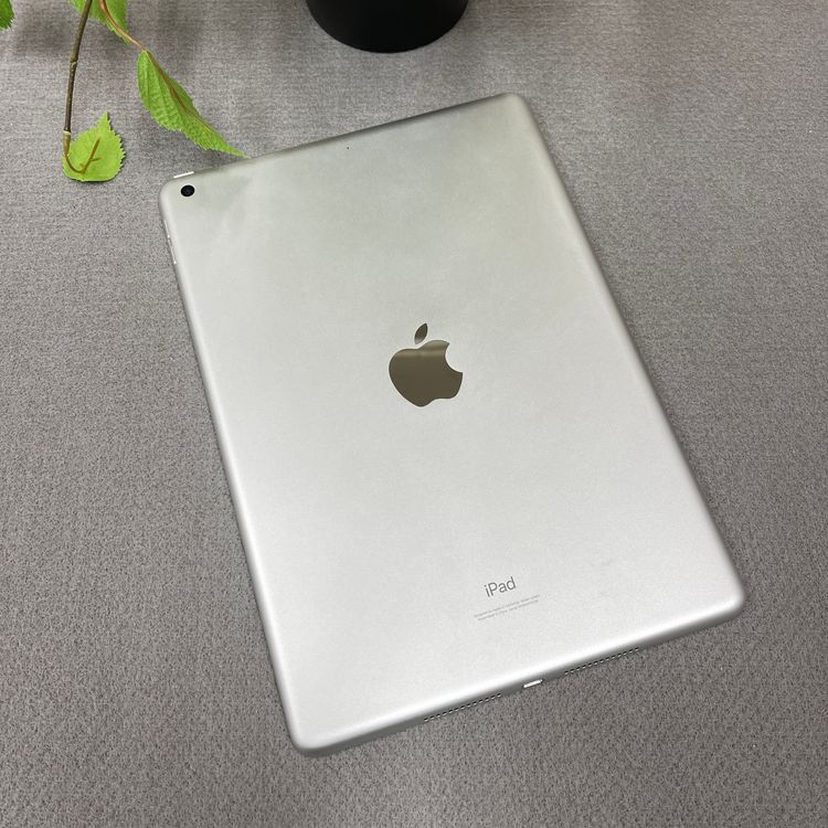 iPad 裹 64GB 10.2 졼Wi-Fi ǥ