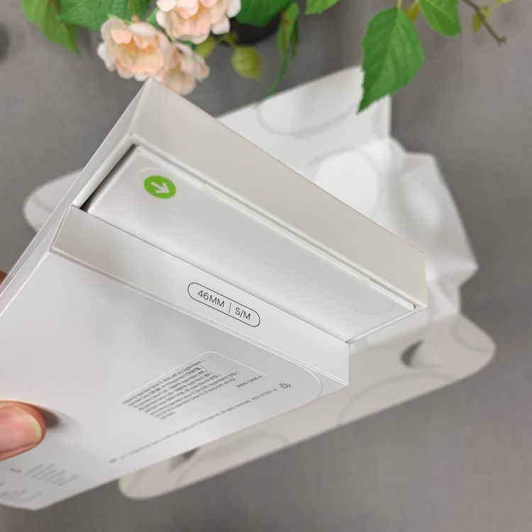 ʡ̤ Apple Watch Series 10 46mm ̵ 27040