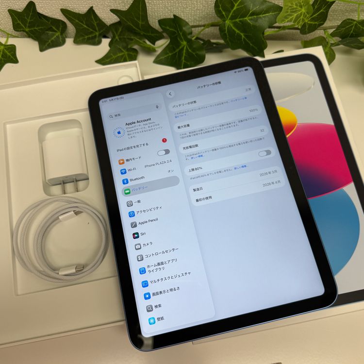 ����Ʊ�� iPad A16  256Gb �֥롼 WiFi�� ����̵��