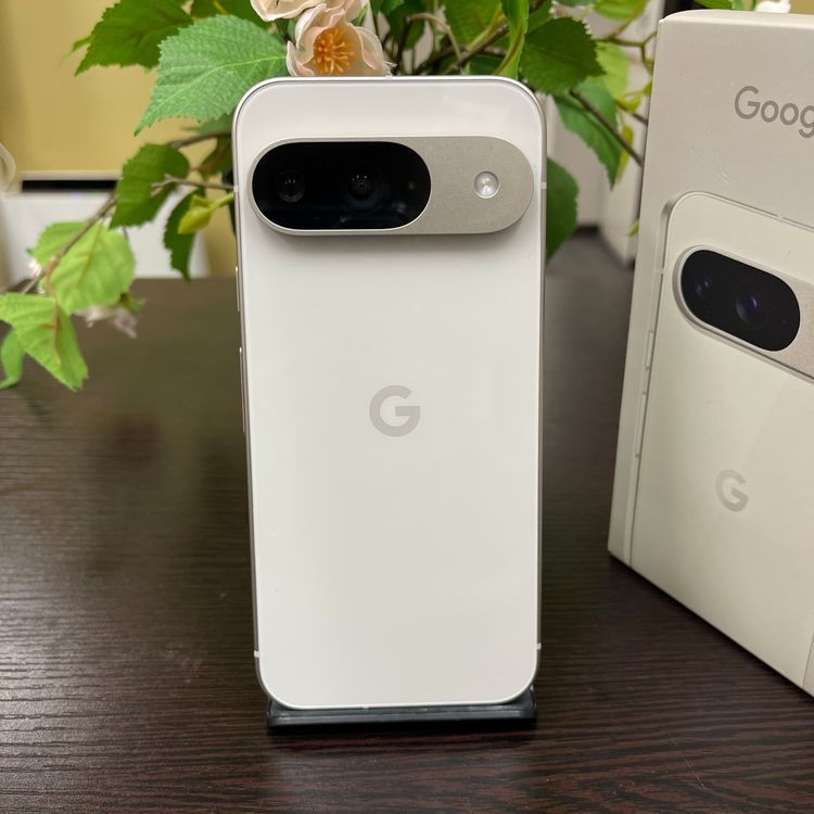 Google Pixel 9 256Gb ݡ SIMե꡼ ̵