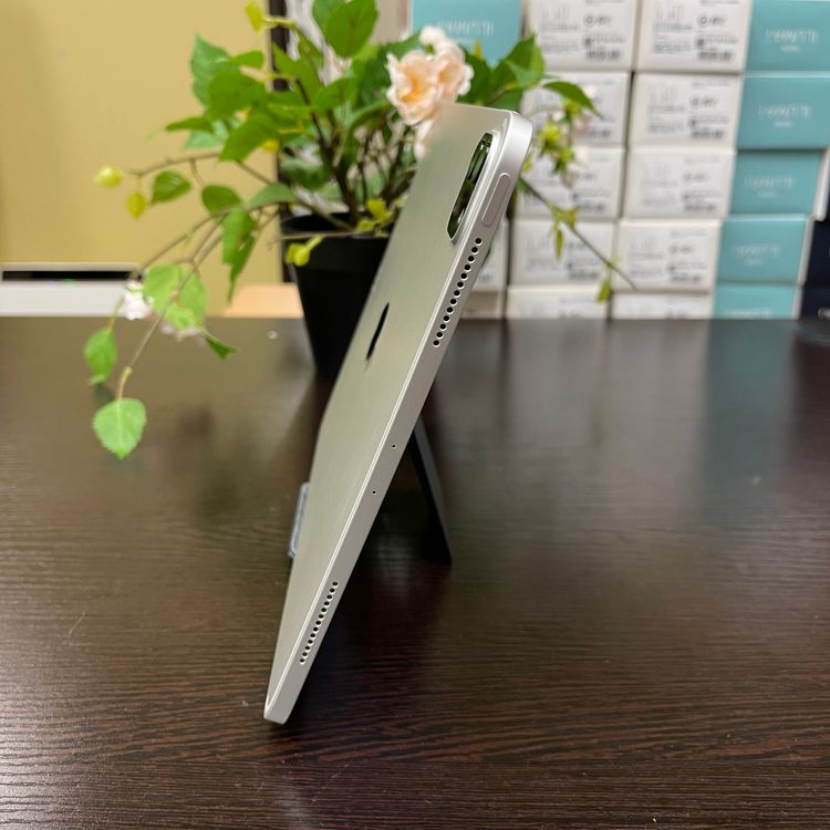 iPad Pro 112 256GB Wi-Fiǥ
