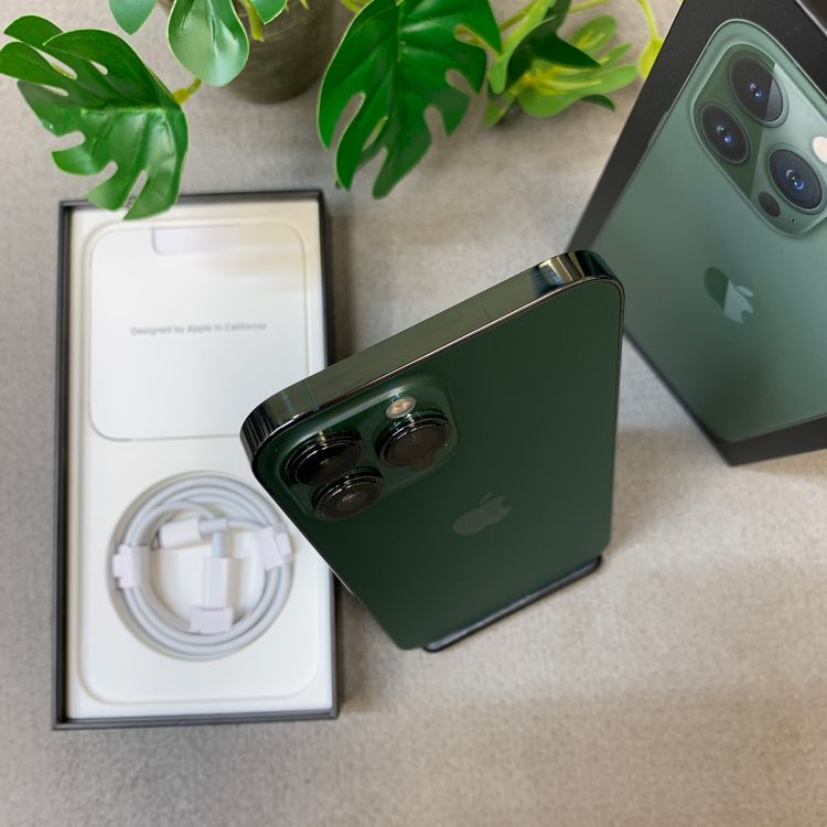 �Хåƥ꡼ 100�� iPhone 13ProMax 256GB ����SIM�ե꡼ ����̵��