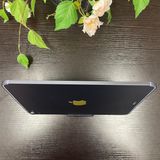 iPad Air(5) 256GB ѡץ Wi-Fi + Cellularǥ ̵