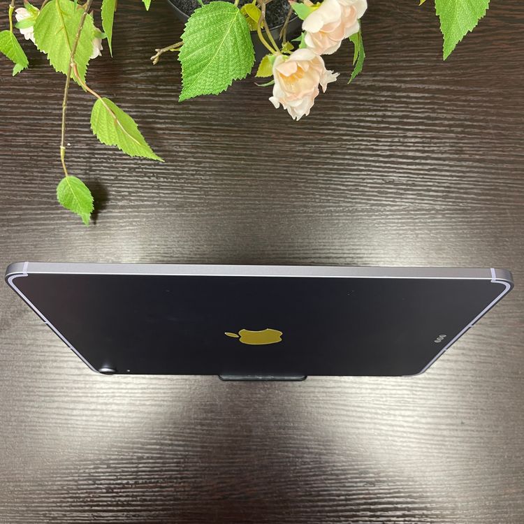 iPad Air(5) 256GB ѡץ Wi-Fi + Cellularǥ ̵