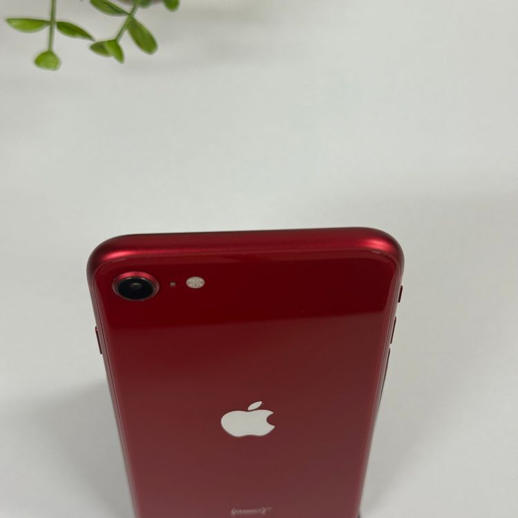 iPhone SE 3 128GB å SIMե꡼ ̵