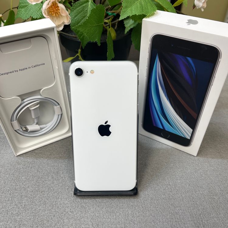 ���ʡ�̤���� iPhone SE2 64Gb �ۥ磻�� ������SIM�ե꡼����̵��