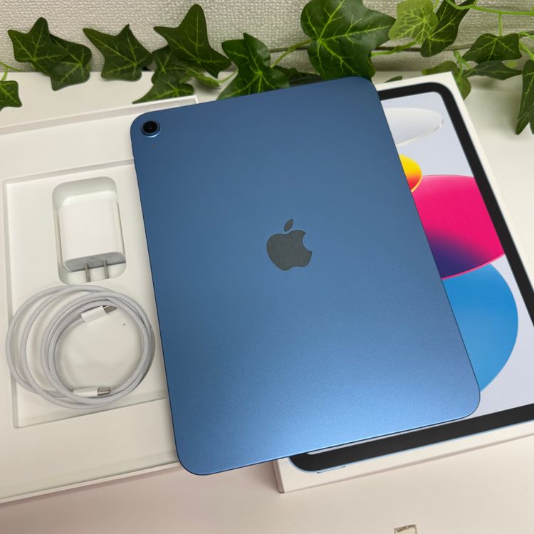 ����Ʊ�� iPad A16  256Gb �֥롼 WiFi�� ����̵��