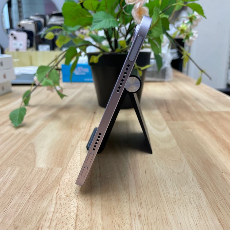 iPad Mini A17Pro 256GB ѡץ WiFi ǥ ̵