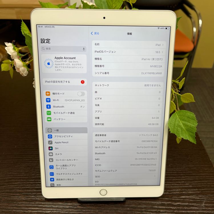 iPad Air 3 Wi-Fi + Cellularǥ  SIMե꡼
