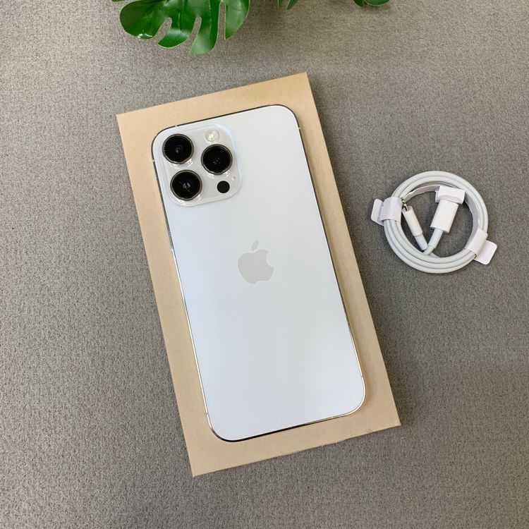 �Хåƥ꡼ 86% iPhone 14ProMax 1TB  ������SIM�ե꡼����̵��
