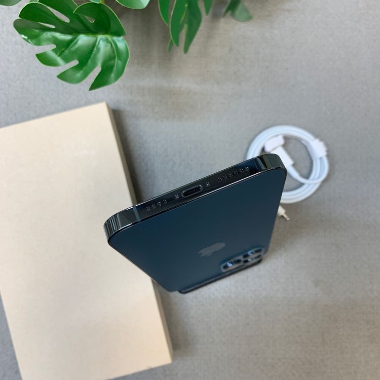 �Хåƥ꡼ 100�� iPhone12 ProMax 256Gb ����SIM�ե꡼ ����̵��