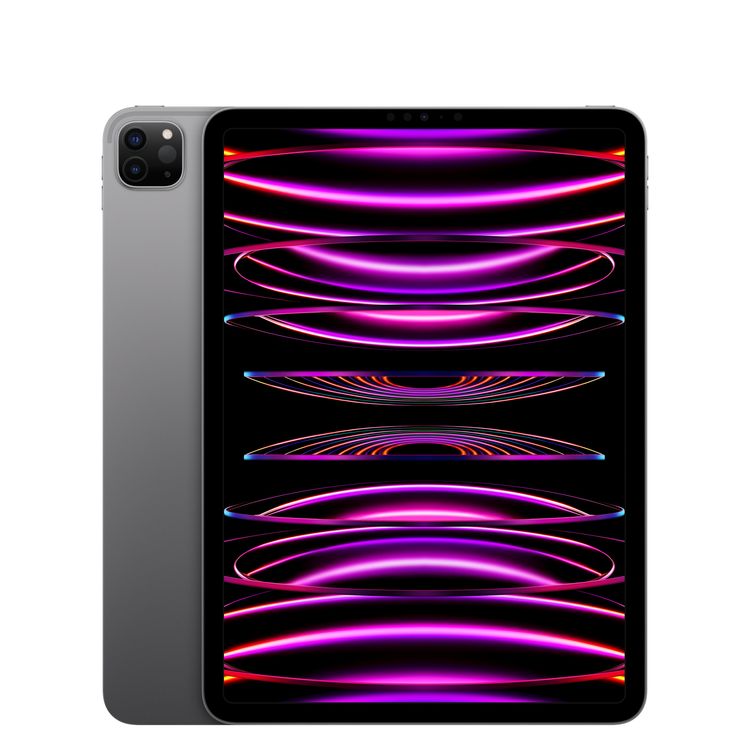 iPad Pro 114128GB ڡ쥤 ̵