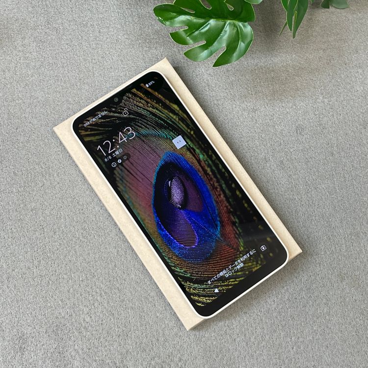 AQUOS Wish4 64GB �ۥ磻�� SH-52E �ɥ����� SIM�ե꡼