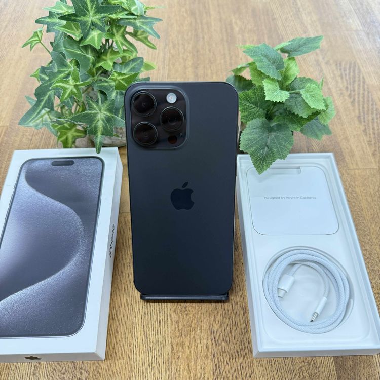 iPhone 15ProMax 1TB ֥åSIMե꡼̵