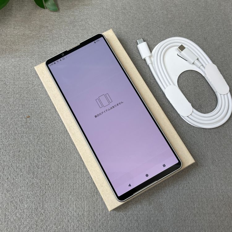 Sony Xperia 1 V SO-51D 256GB ����С� ������ SIM�ե꡼����̵��
