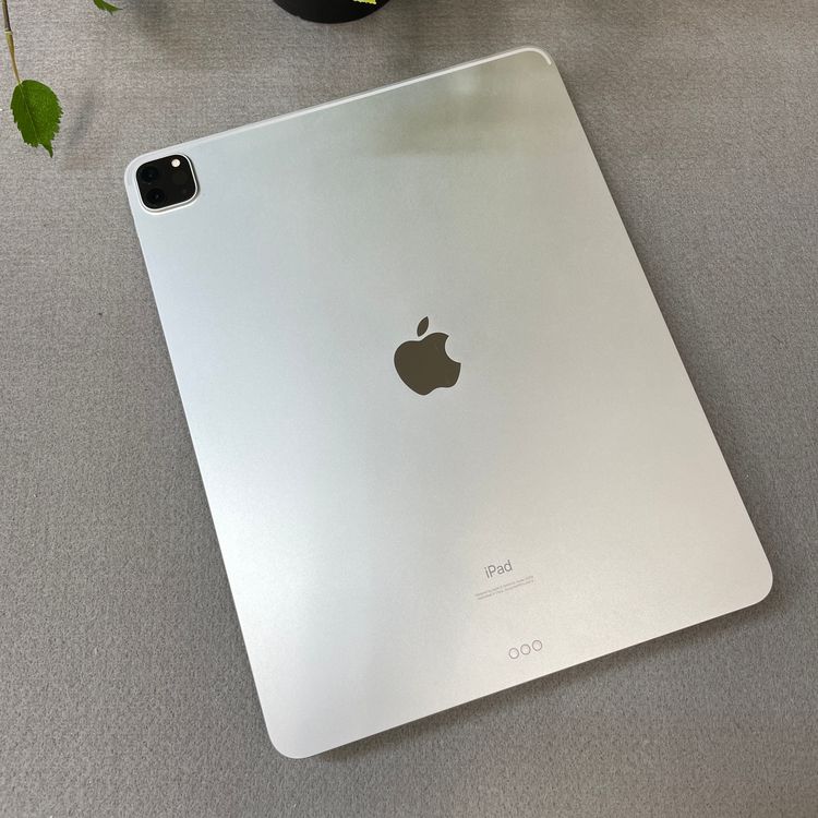 iPad Pro 12.9���������4�����512GB Wi-Fi��ǥ� ����̵��
