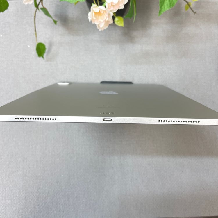 iPad Pro 12.9���������4�����512GB Wi-Fi��ǥ� ����̵��