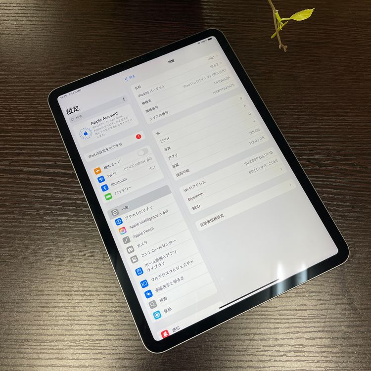 iPad Pro 113˥ڡ쥤 128GB Wi-Fi ǥ